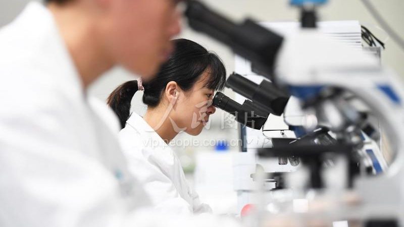 PCR仪价格之谜：揭秘其背后的价值与考量
