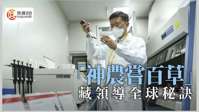 多道移液器：精准操作的得力助手**