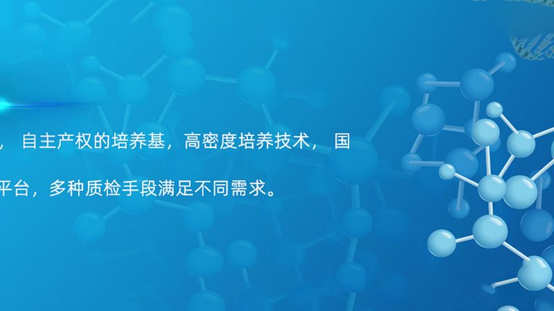 DNA聚合酶型号参数解析：揭秘基因编辑的“幕后功臣