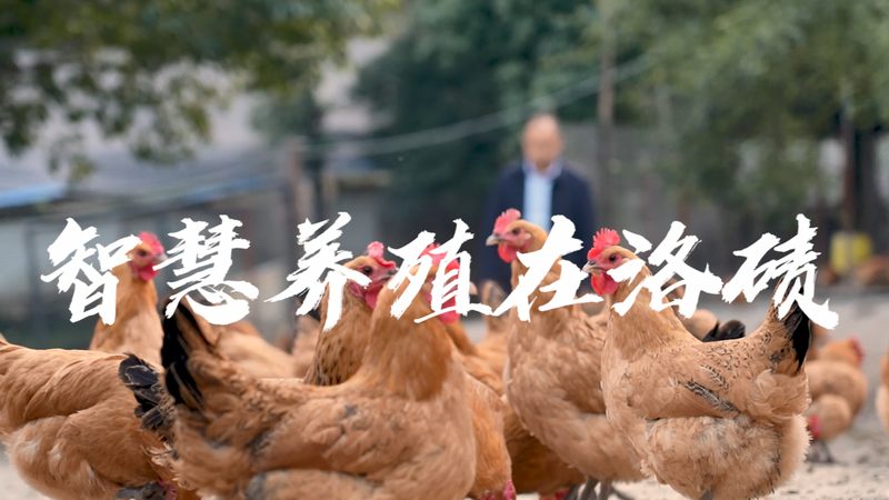 细胞培养技术：北京哪家公司更胜一筹？**