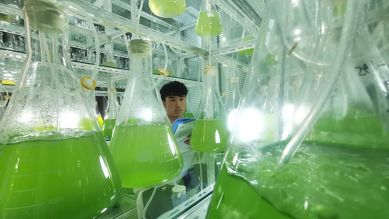 生物制品储存温度：那些不容忽视的风险点**