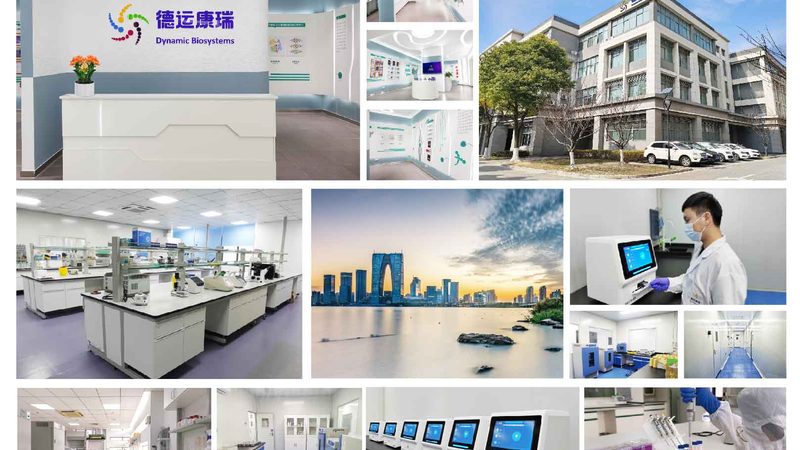 基因测序的六步拆解：从样本到数据报告