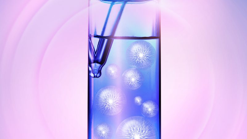 干细胞培养与原代组织培养：本质区别与关键要点**