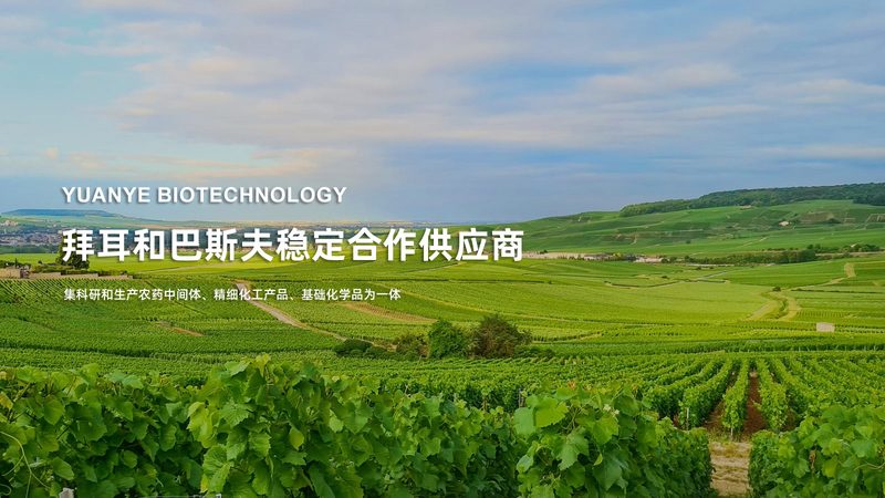 离心管定制：规格尺寸背后的科学考量
